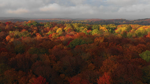 Drone flight over beautiful fall landscape. Epic romantic light. Ontario, Canada. 4K.