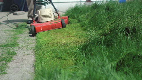 Old electric lawnmower. Very long grass. Shallow depth of field. HD video.