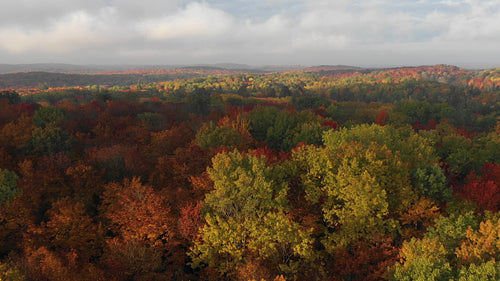 Beautiful autumn landscape. Reverse drone flight over forest. Ontario, Canada. 4K.