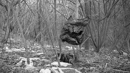 Garbage in the forest. Black and white. HD video.