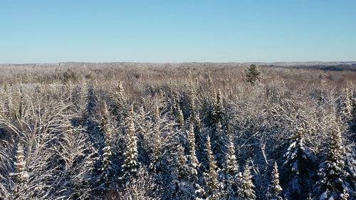 Slow reverse drone flight over beautiful, sunny winter landscape. Ontario, Canada. 4K.