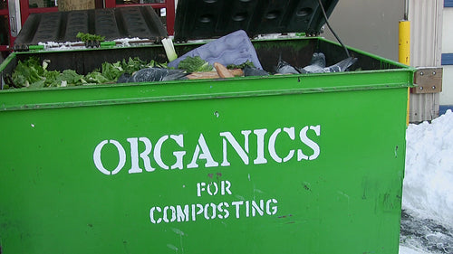Organics bin with pigeons eating. Granville Island, Vancouver, B.C. HD video.