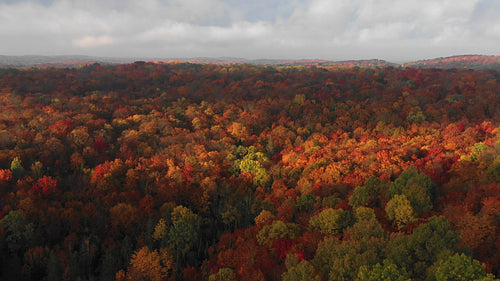Drone flight over gorgeous fall landscape. Epic romantic light. Ontario, Canada. 4K.