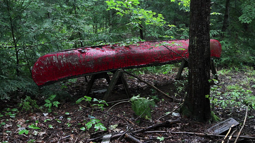 Old abandoned red canoe sits in the forest. Sound of rain falling. HD video.