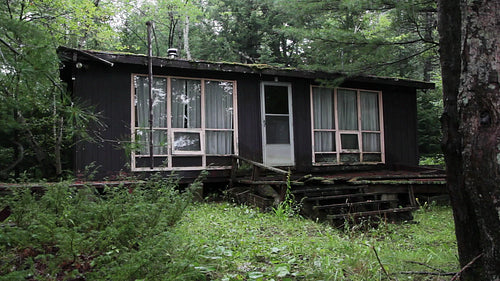 Old and abandoned cottage in the woods with tree. Sound of rain falling. HD video.
