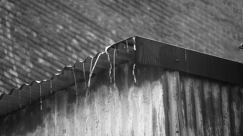 Heavy rain on rusty corrugated iron roof. Good audio. Black and white. HD video.