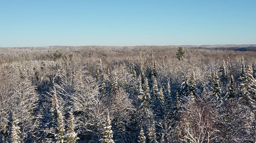 Slow drone flight over beautiful, sunny winter landscape. Ontario, Canada. 4K.