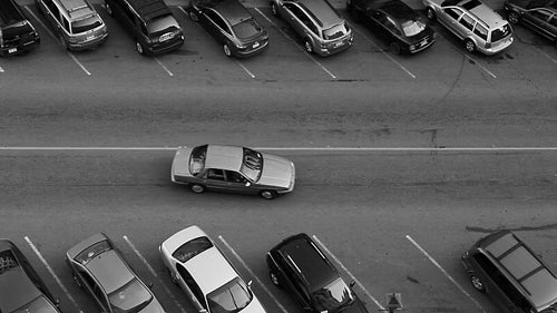 Car finds parking spot. Black and white. HD.