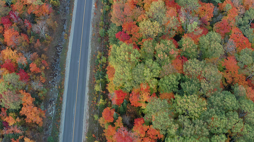 Drone following rural road. Vertical orientation. Autumn in Ontario, Canada. 4K.