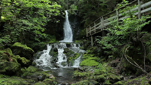 Dickson Falls in Fundy National Park, New Brunswick, Canada. HD.