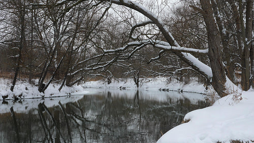Winter river. Calm water. View upstream. Don River, Toronto, Canada. 4K.