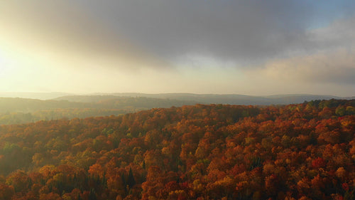 Flying over autumn landscape. Soft romantic light. Ontario, Canada. 4K.
