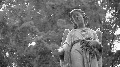 Cemetery angel looks down. Black and white. HDV footage. HD.