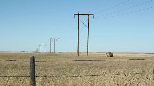 Wooden electrical poles in the prairies. Alberta, Canada. HD.