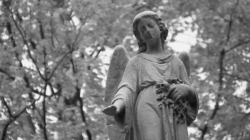 Cemetery angel. Windy trees in background. Black and white. HDV footage. HD.