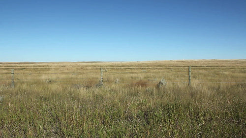 Grassy ranch land with fence. Alberta, Canada. HD.