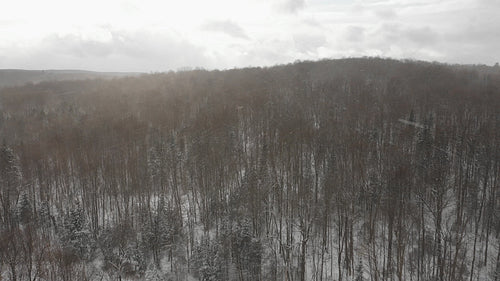 Drone flight over winter forest with snow falling. Ontario, Canada. 4K.