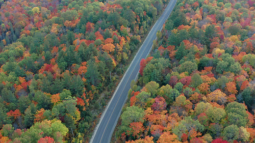 Drone following rural road. Diagonal orientation. Autumn in Ontario, Canada. 4K.