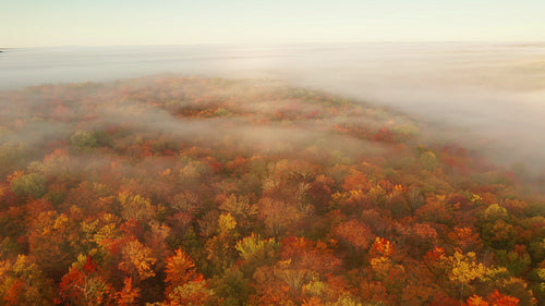 Drone flight over magical, misty landscape with fall colours. 4K