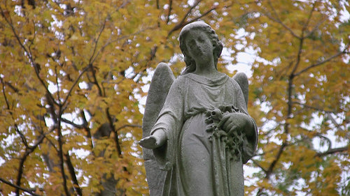 Cemetery angel. Breezy autumn trees in background. HDV footage. HD.
