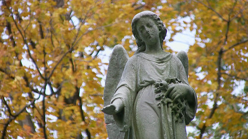 Cemetery angel. Windy autumn trees in background. HDV footage. HD.