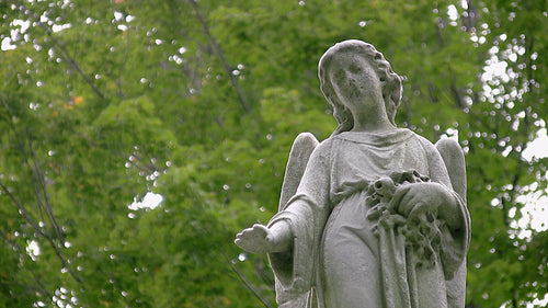 Cemetery angel. Green tree background. HDV footage. HD.