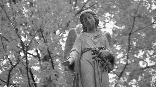 Cemetery angel. Breezy trees in background. Black and white. HDV footage. HD.