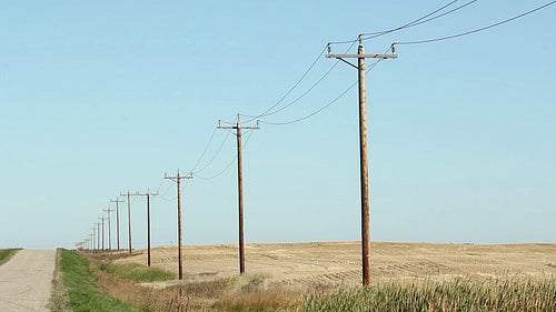 Telephone poles in rural area with road. Manitoba, Canada. HD.