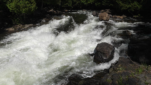 Slow motion rapids. Summer whitewater river with view upstream. Ontario. HD.