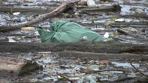 Garbage bag and pollution in the river. Don River, Toronto, Ontario, Canada. HD video.