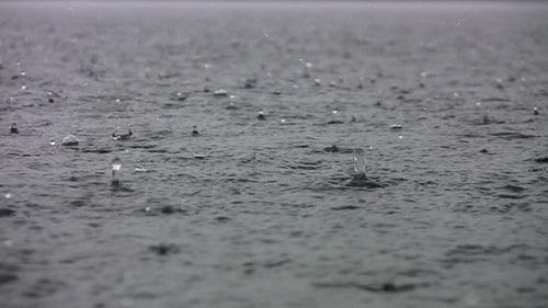Heavy rain on the lake with sound of thunder. HDV footage. HD.