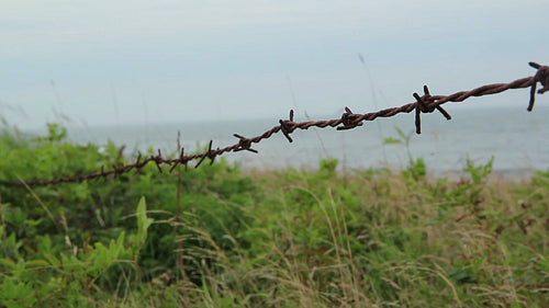 Barbed wire by the beach. Prince Edward Island, Canada. HD.