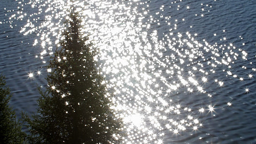 Magic lake. Slow motion sparkles shine through conifer. Ontario, Canada. HD.