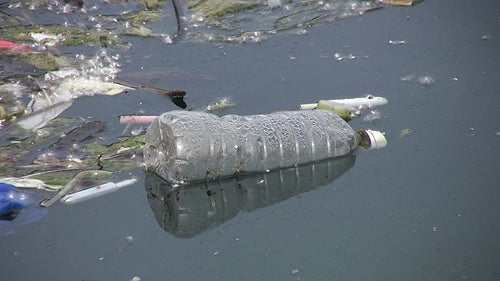 Plastic water bottle pollution. Garbage floating in Lake Ontario, Canada. HDV footage. HD.