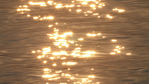 Sparkling sunset water. Golden pink reflections on the lake surface. 4K.