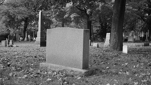Blank gravestone in cemetery. Black and white. HDV footage. HD.