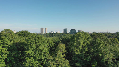 Drone shot. Rising above the trees. View of Thorncliff and Leaside, Toronto. 4K.