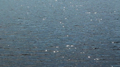 Sparkling summer lake. Reflections from the sun. HD.