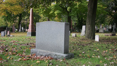 Blank gravestone in cemetery. Autumn leaves. HDV footage. HD.