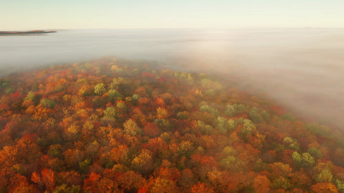 Rotating drone flight over magical misty landscape with fall colours. 4K.