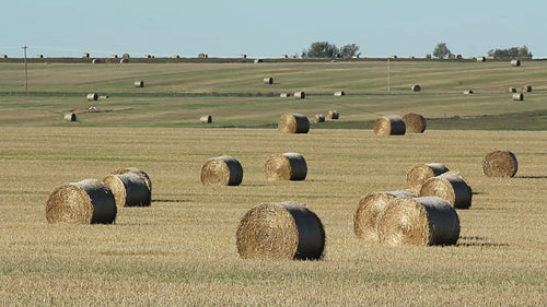Hay bales in a field. Alberta, Canada. HD.