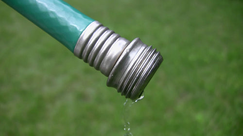 Green garden hose with water dripping. Grass background. HDV footage. HD.