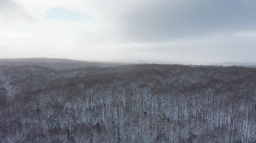 Low drone flight over winter landscape. Beautiful light. 4K.
