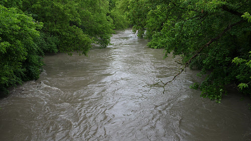 Flooded summer river. Don River, Toronto, Canada. 4K.