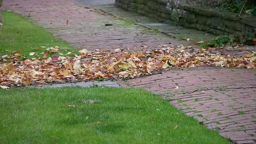 Leaf blower. HDV footage. HD.