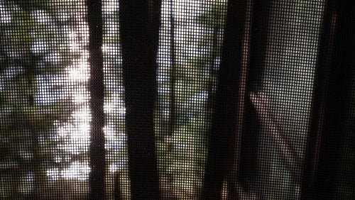 View through cottage screen. Forest and sparkling lake below. 4K.