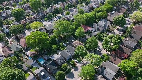 Drone aerial. Stock video footage of suburban neighbourhood with green summer trees. Toronto. 4K.