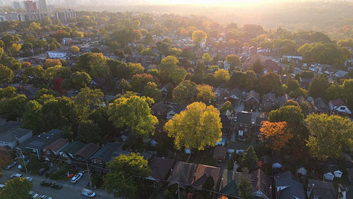 Drone aerial. Circling autumn suburbs with beautiful light. East York, Toronto. 4K.