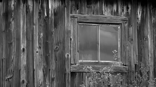 Detail of window in wooden shed. Rural Ontario, Canada. Black and white. HD.