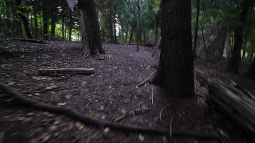 Forest chase scene. Running through a forest. POV.